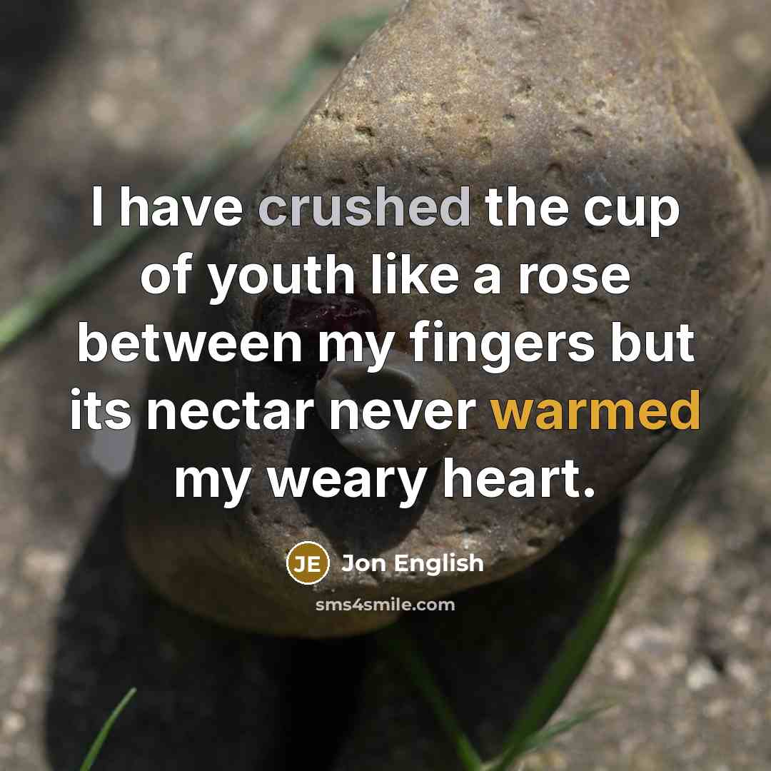 “I have crushed the cup of youth like a rose…” quote by Jon English