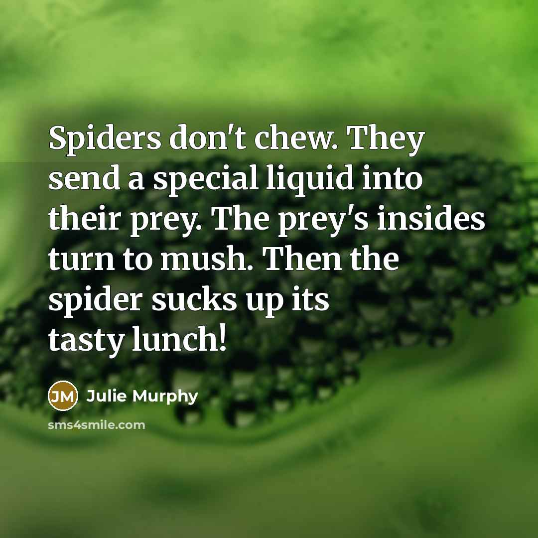 “Spiders don't chew. They send a special liquid into their…” quote by Julie Murphy