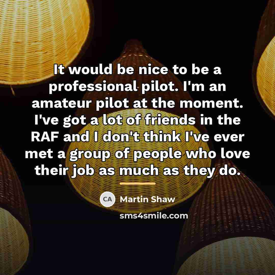 “It would be nice to be a professional pilot. I'm…” quote by Martin Shaw