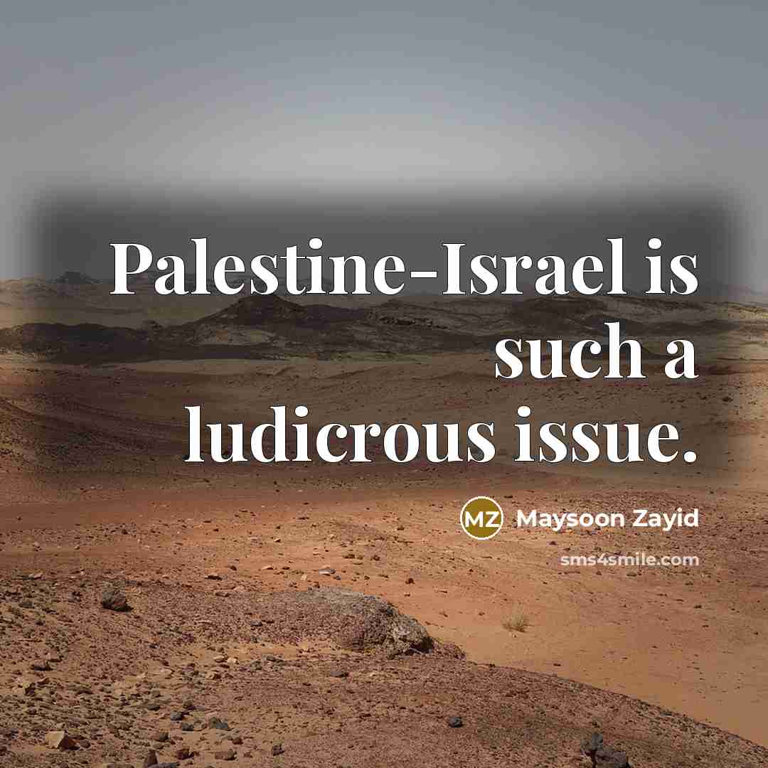 “Palestine-Israel is such a ludicrous issue.” quote by Maysoon Zayid