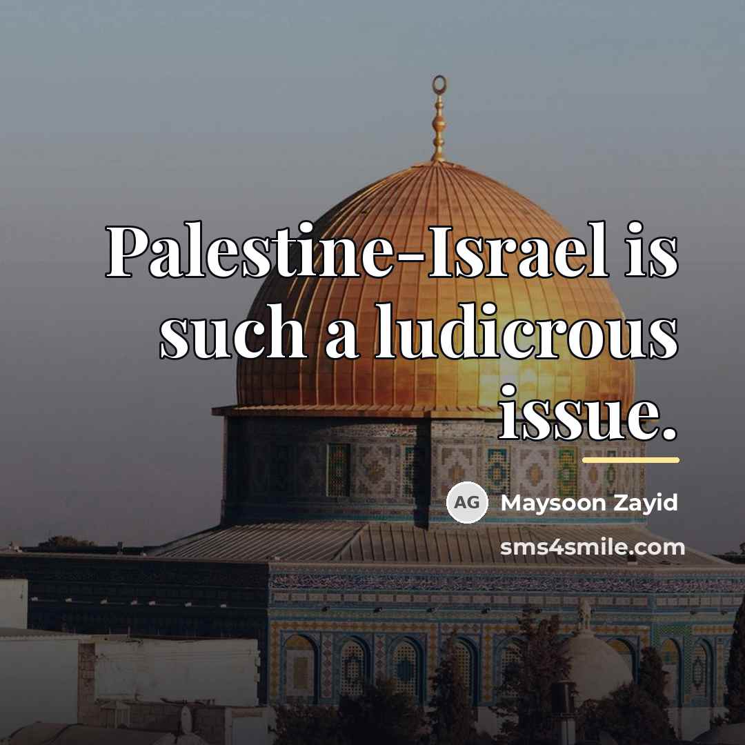 “Palestine-Israel is such a ludicrous issue.…” quote by Maysoon Zayid