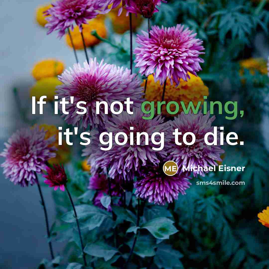 “If it's not growing, it's going to die.…” quote by Michael Eisner