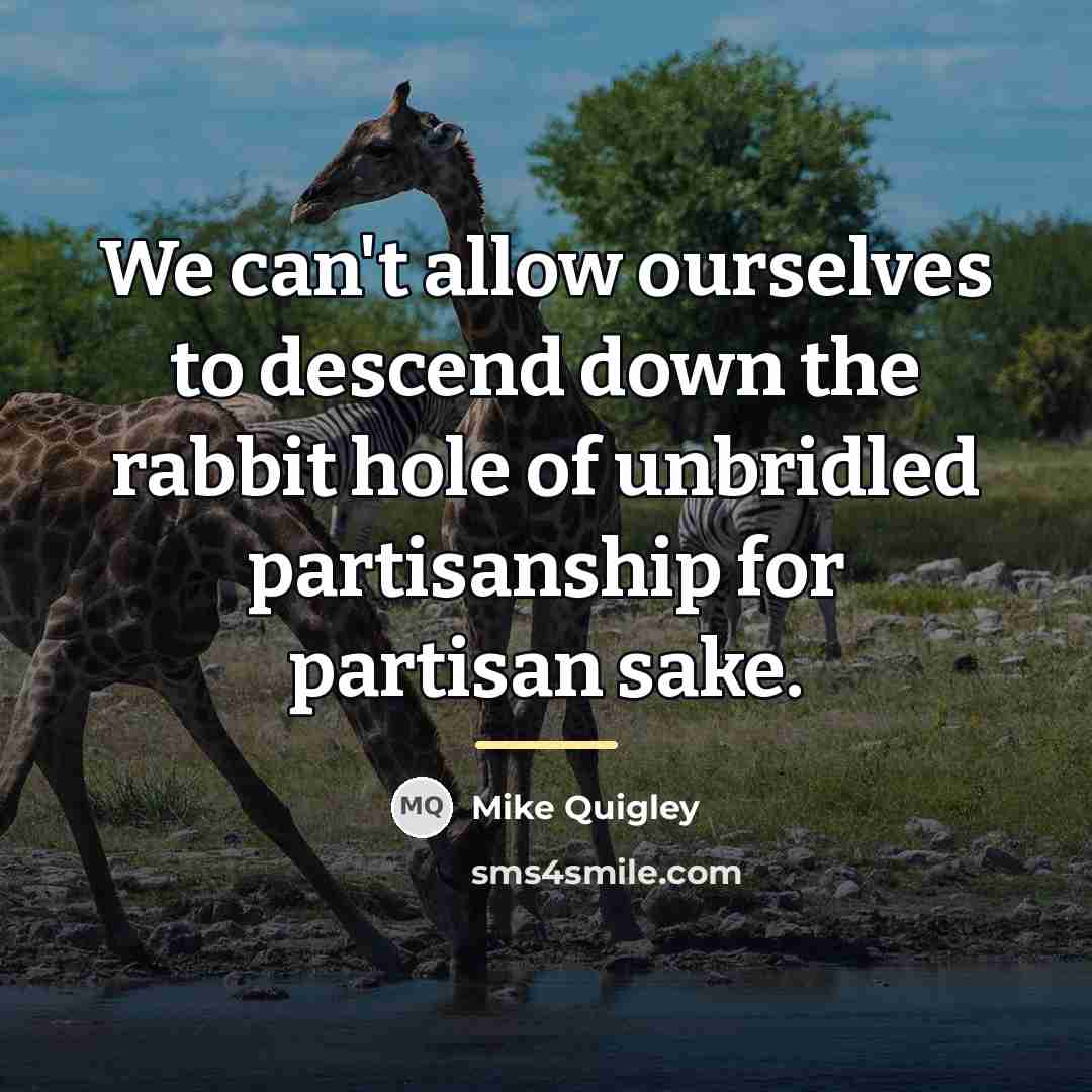 “We can't allow ourselves to descend down the rabbit hole…” quote by Mike Quigley