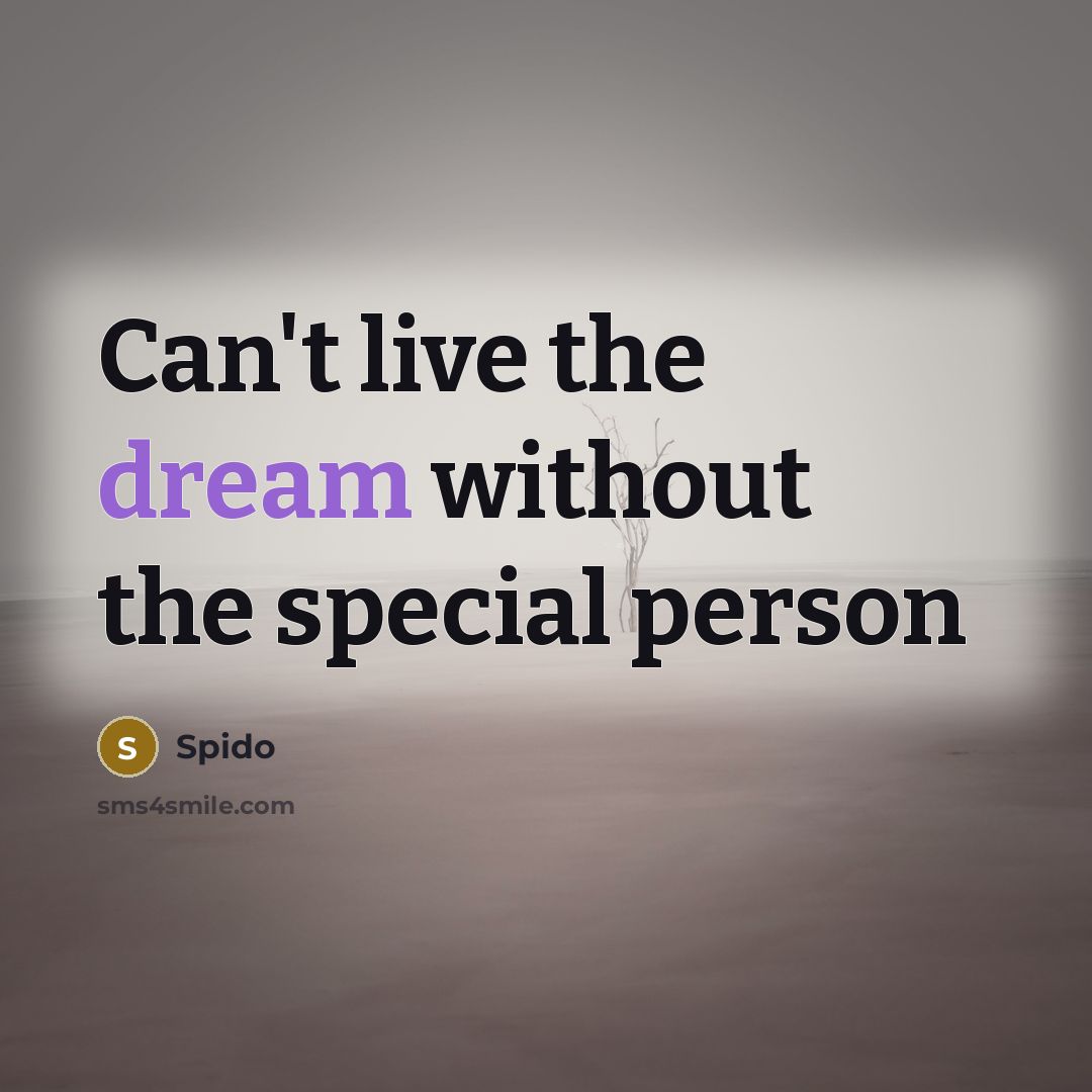 “Can't live the dream without the special person…” quote by Spido