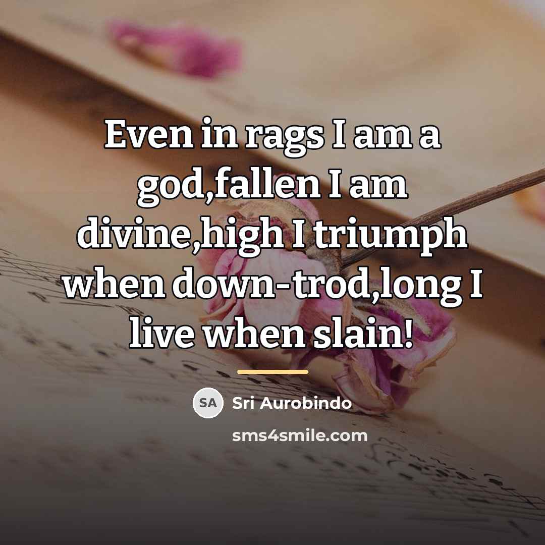 “Even in rags I am a god,fallen I am divine,high…” quote by Sri Aurobindo
