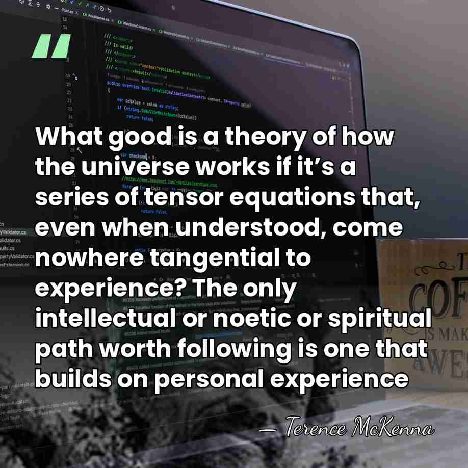 What good is a theory of how the universe works if it’s&hellip; - Terence McKenna
