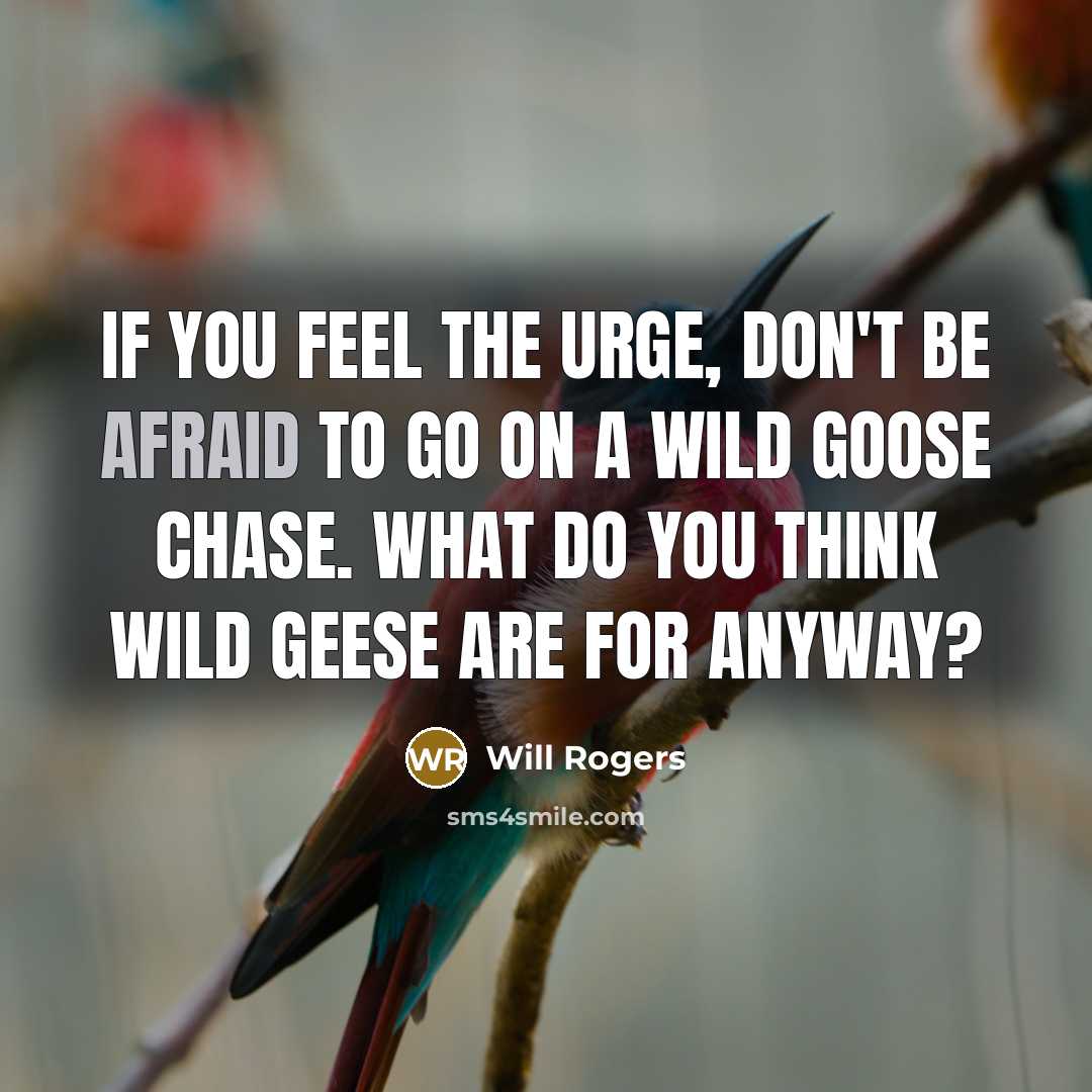 “If you feel the urge, don't be afraid to go on a wild goose chase. What do you think wild geese are for anyway?” quote by Will Rogers