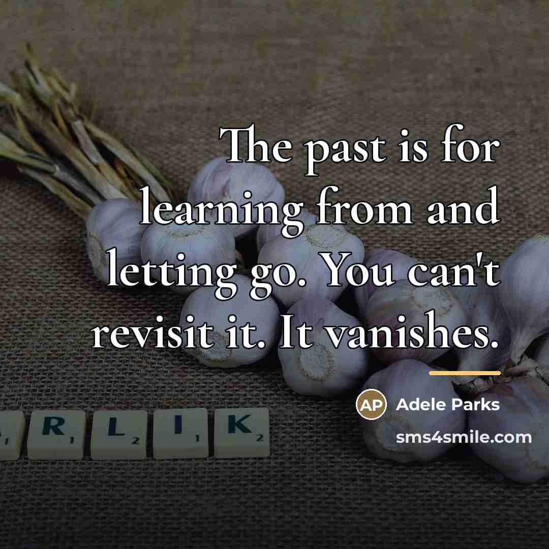 “The past is for learning from and letting go. You…” quote by Adele Parks