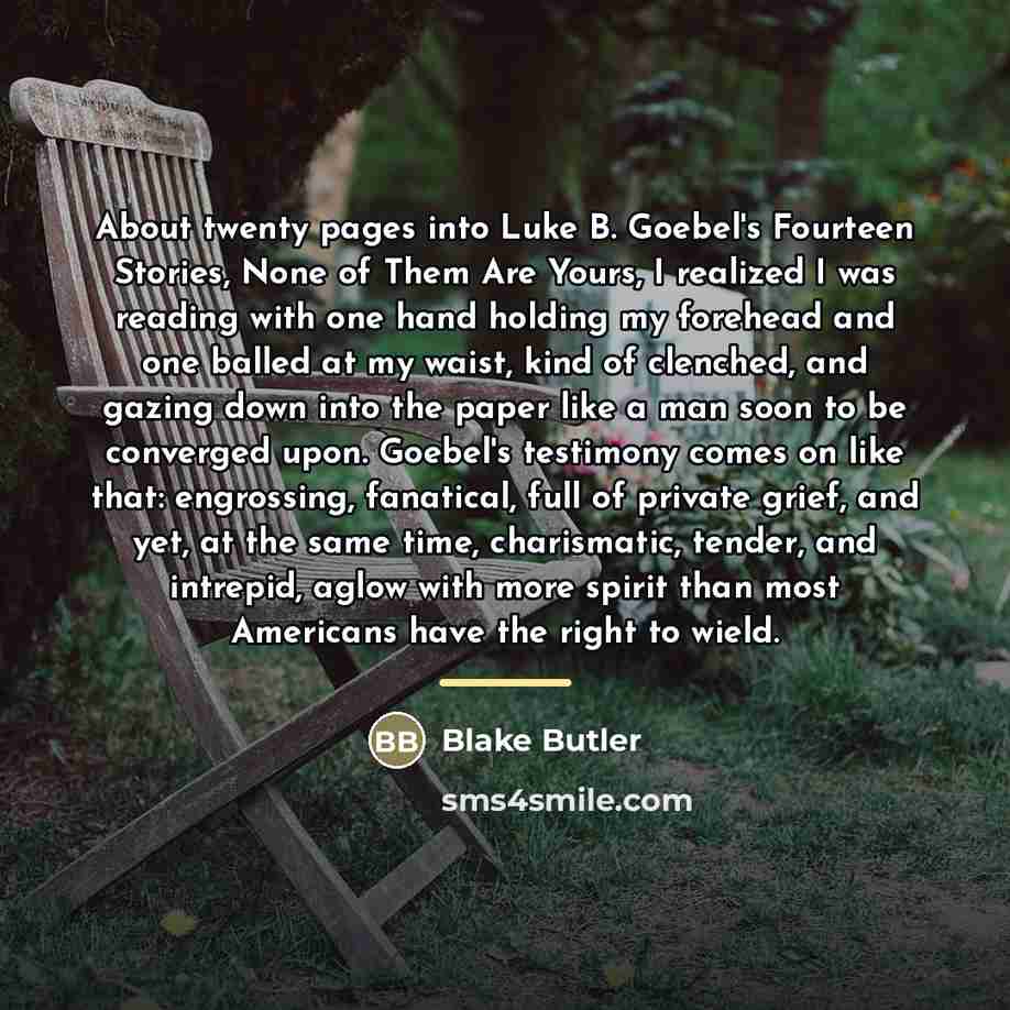 “About twenty pages into Luke B. Goebel's Fourteen Stories, None…” quote by Blake Butler