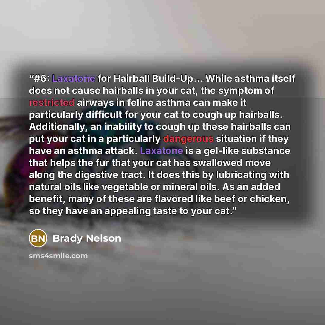 “#6: Laxatone for Hairball Build-Up… While asthma itself does not cause hairballs in your cat, the symptom of restricted airways in feline asthma can make it particularly difficult for your cat to cough up hairballs. Additionally, an inability to cough up these hairballs can put your cat in a…” quote by Brady Nelson