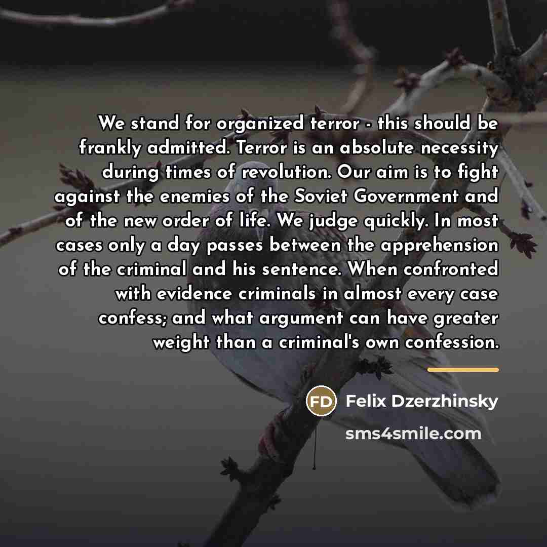 “We stand for organized terror - this should be frankly…” quote by Felix Dzerzhinsky