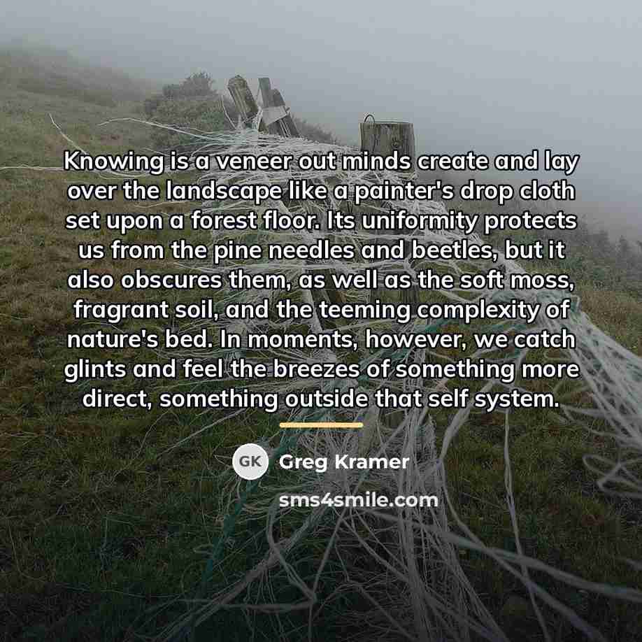 “Knowing is a veneer out minds create and lay over…” quote by Greg Kramer