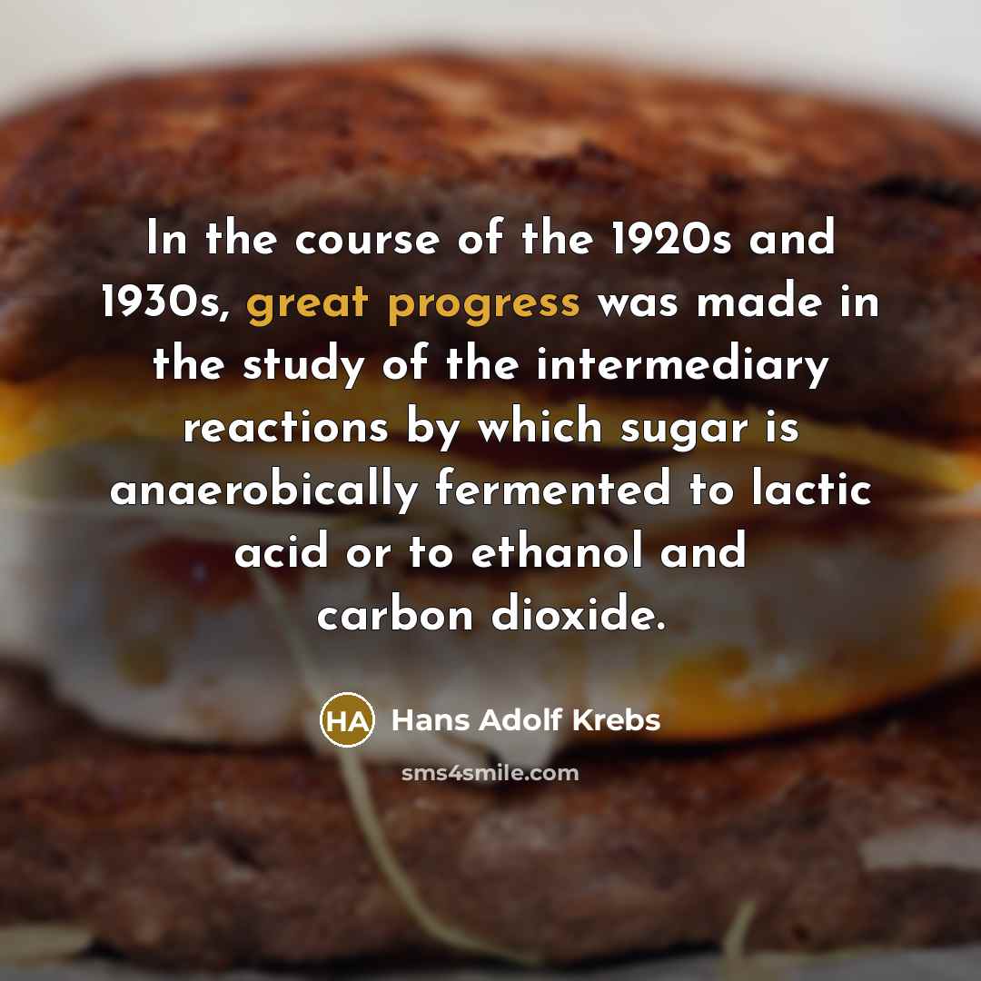 “In the course of the 1920s and 1930s, great progress…” quote by Hans Adolf Krebs
