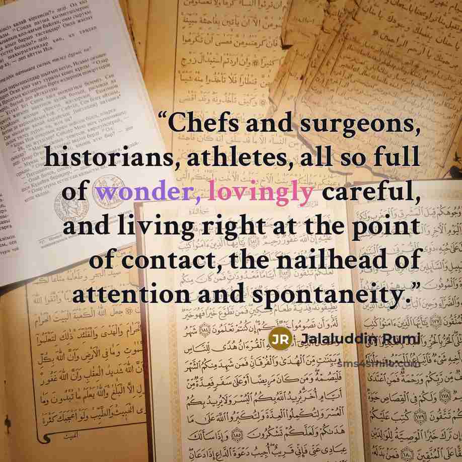 “Chefs and surgeons, historians, athletes, all so full of wonder, lovingly careful, and living right at the point of contact, the nailhead of attention and spontaneity.” quote by Jalaluddin Rumi