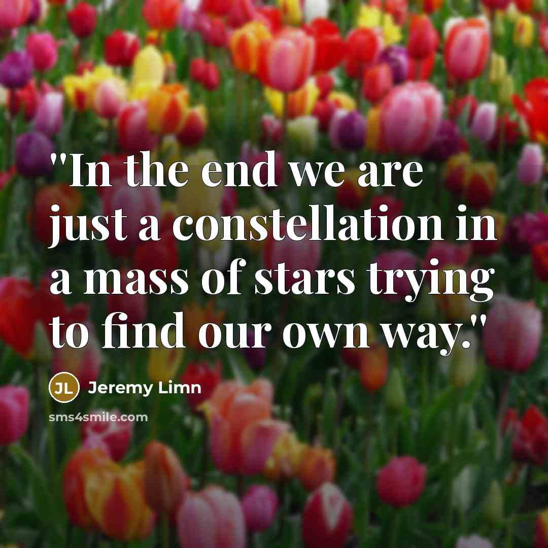 “''In the end we are just a constellation in a…” quote by Jeremy Limn
