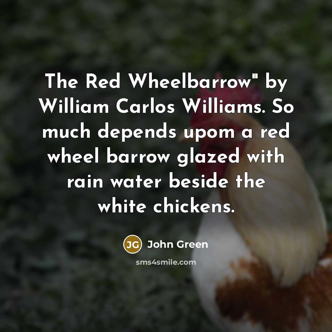 “The Red Wheelbarrow" by William Carlos Williams. So much depends…” quote by John Green