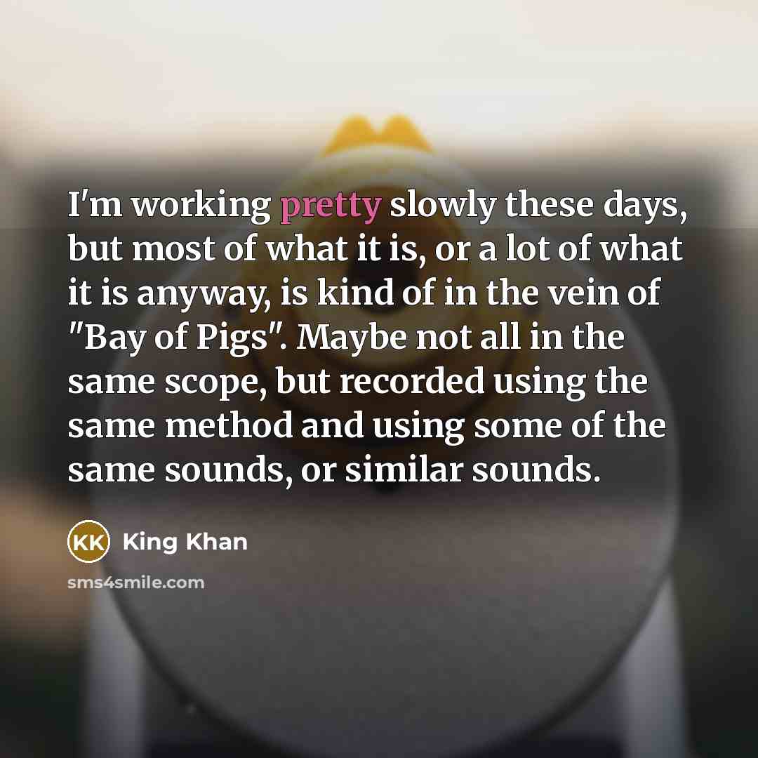 “I'm working pretty slowly these days, but most of what…” quote by King Khan