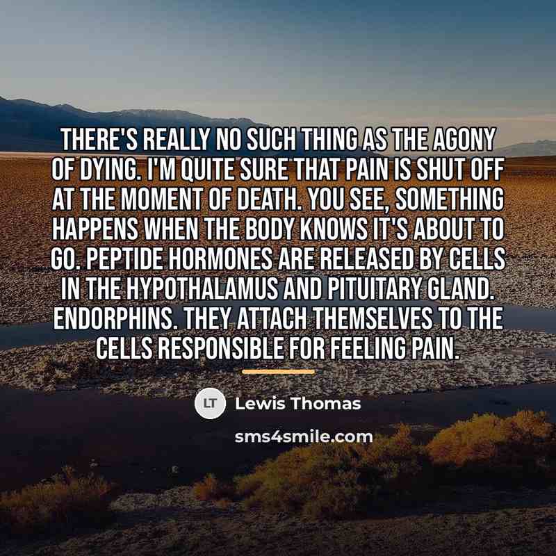 “There's really no such thing as the agony of dying.…” quote by Lewis Thomas