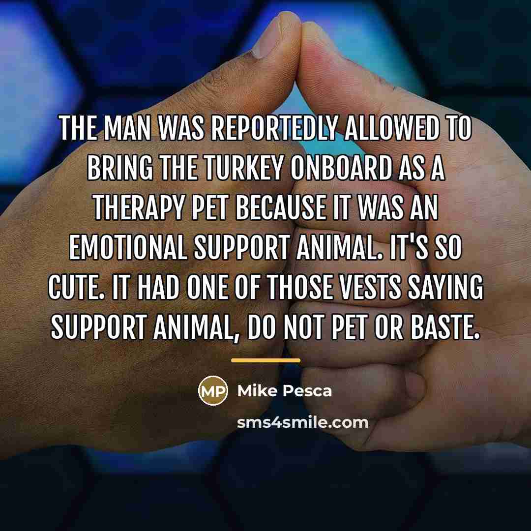 “The man was reportedly allowed to bring the turkey onboard…” quote by Mike Pesca