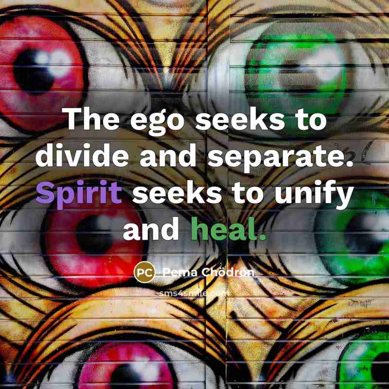 “The ego seeks to divide and separate. Spirit seeks to…” quote by Pema Chodron