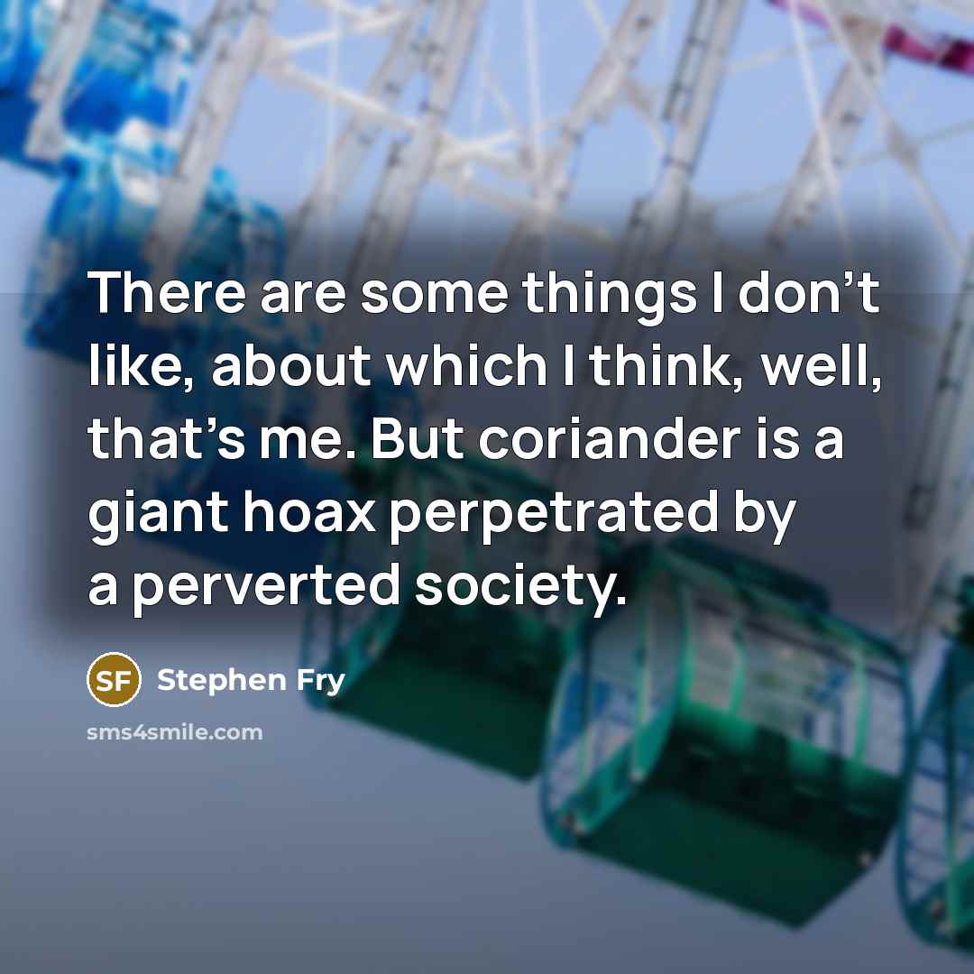 “There are some things I don't like, about which I…” quote by Stephen Fry