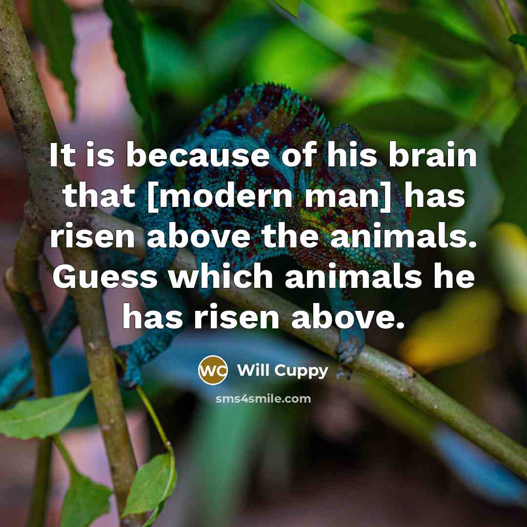 “It is because of his brain that [modern man] has…” quote by Will Cuppy