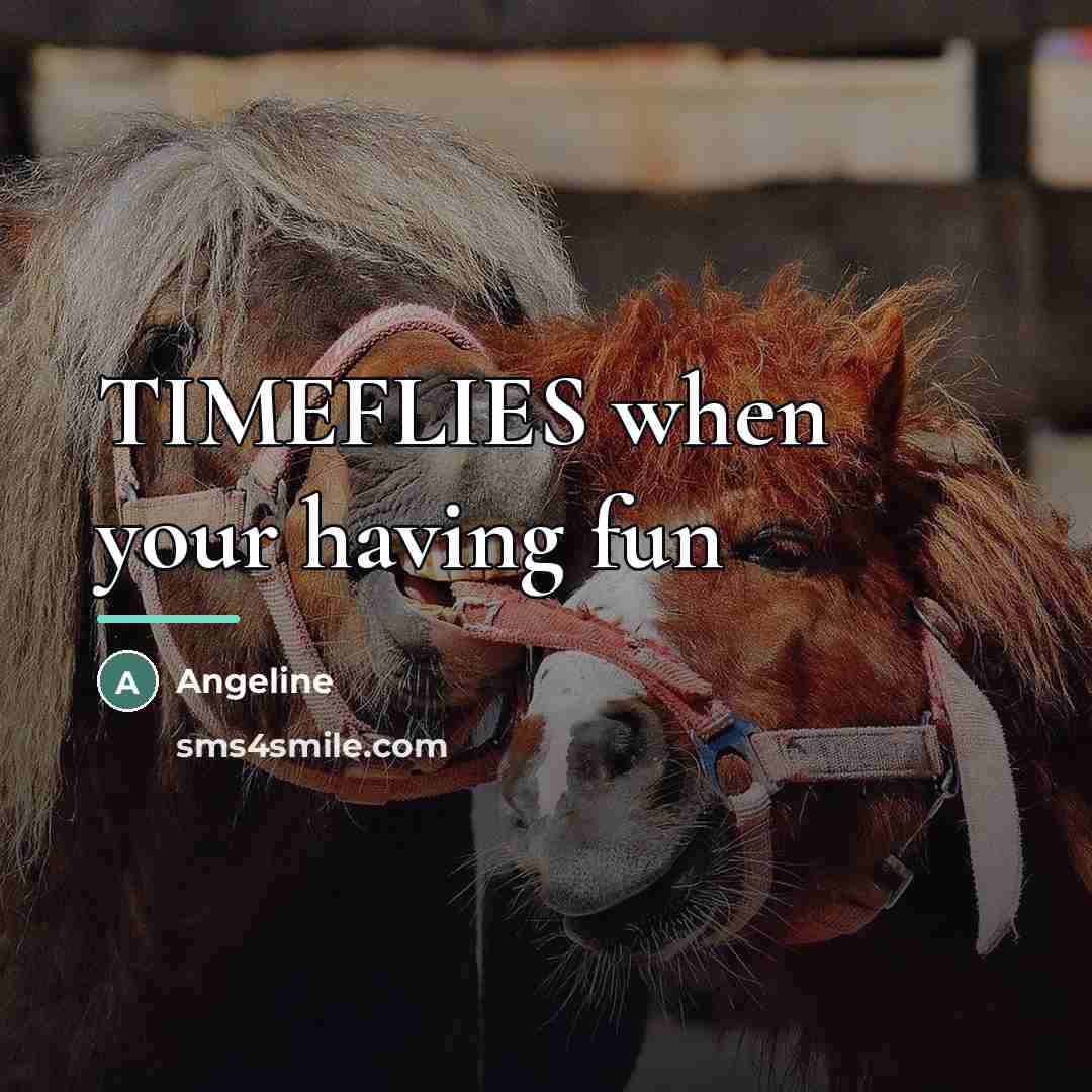 “TIMEFLIES when your having fun…” quote by Angeline