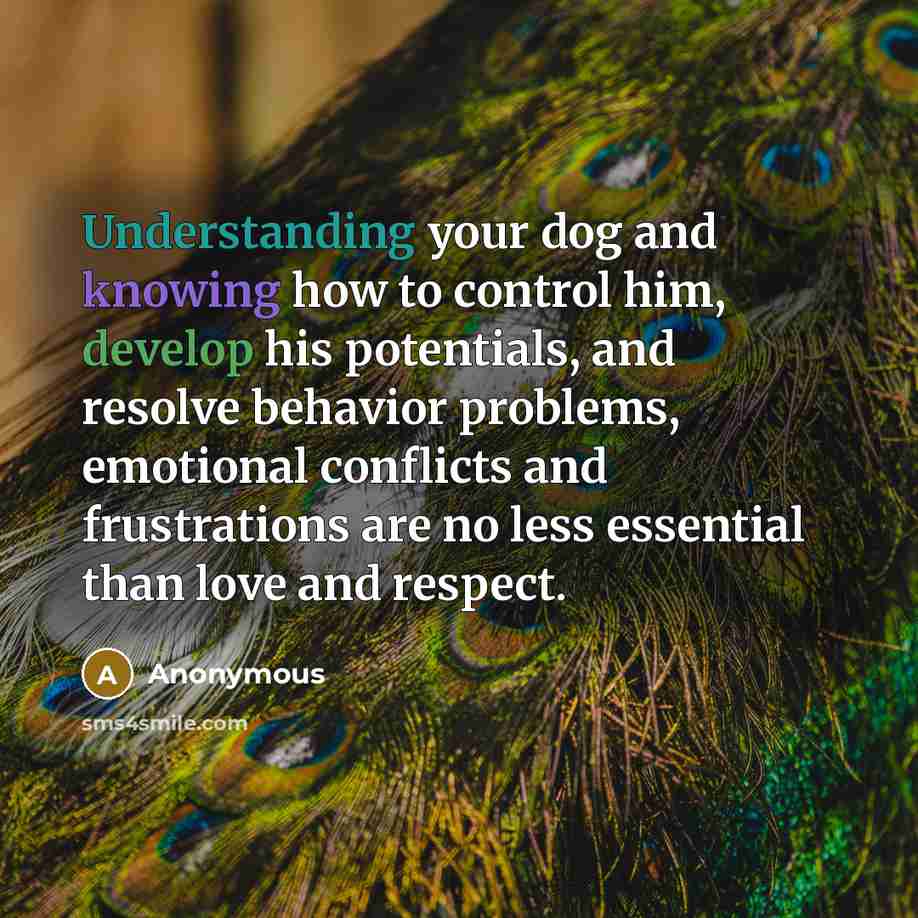 “Understanding your dog and knowing how to control him, develop his potentials, and resolve behavior problems, emotional conflicts and frustrations are no less essential than love and respect.” quote by Anonymous