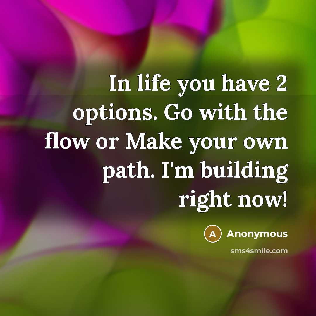 “In life you have 2 options. Go with the flow…” quote by Anonymous