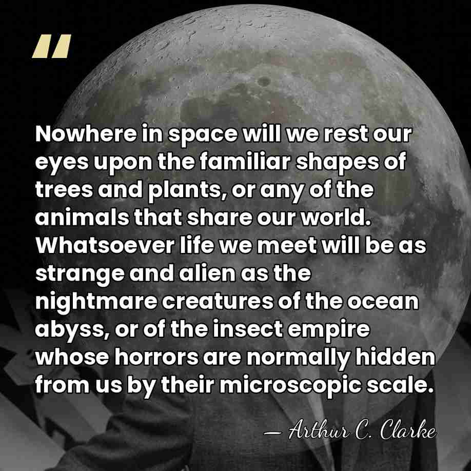 Nowhere in space will we rest our eyes upon the familiar shapes&hellip; - Arthur C. Clarke