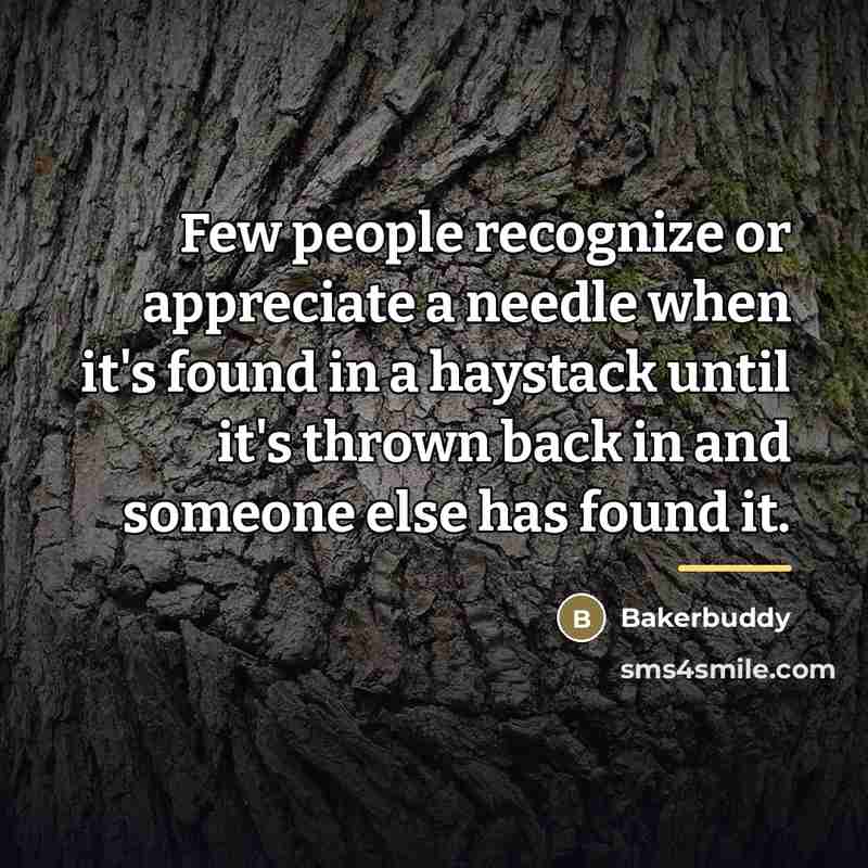 “Few people recognize or appreciate a needle when it's found…” quote by Bakerbuddy