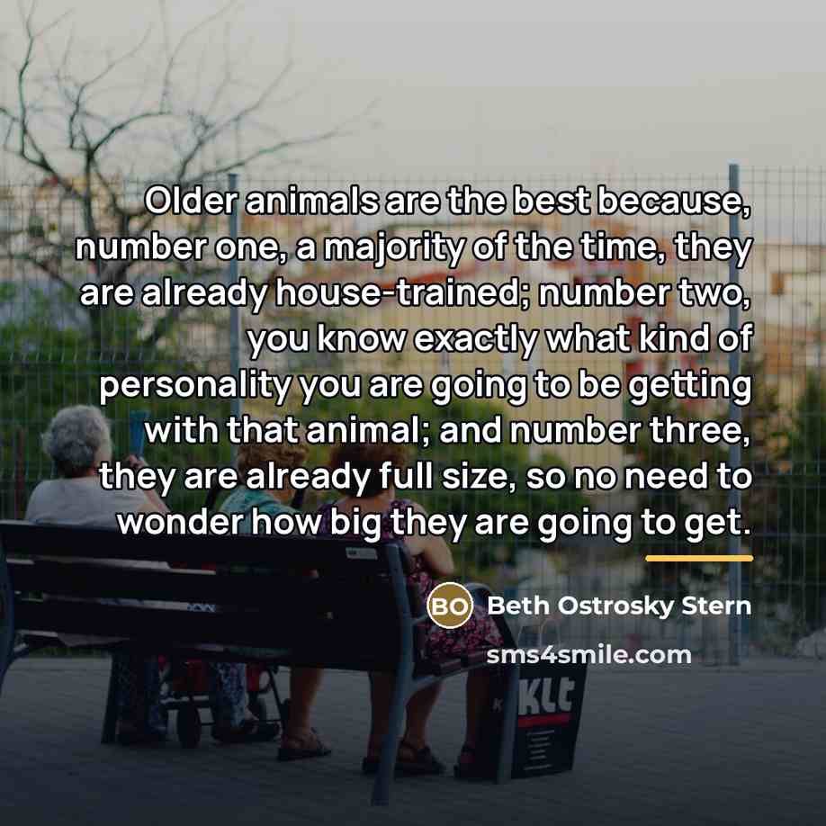 “Older animals are the best because, number one, a majority…” quote by Beth Ostrosky Stern
