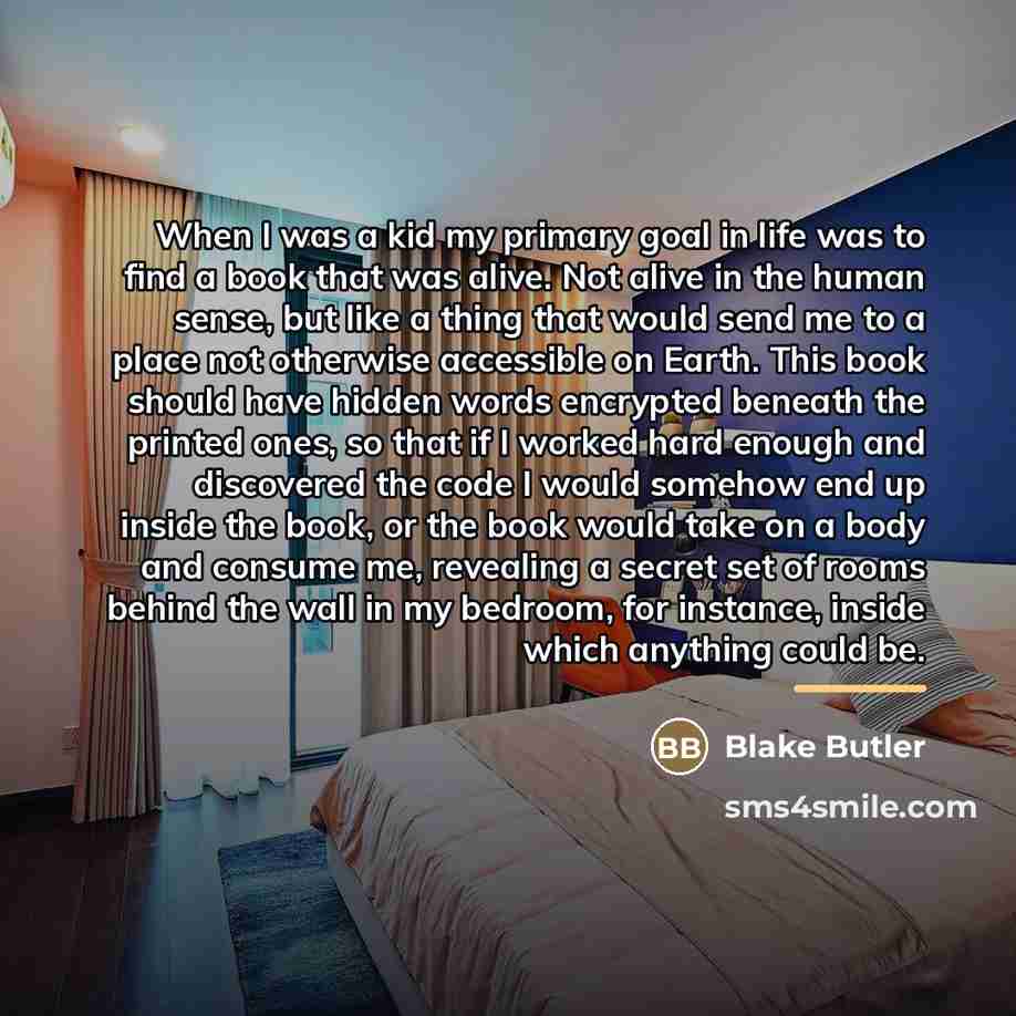 “When I was a kid my primary goal in life…” quote by Blake Butler