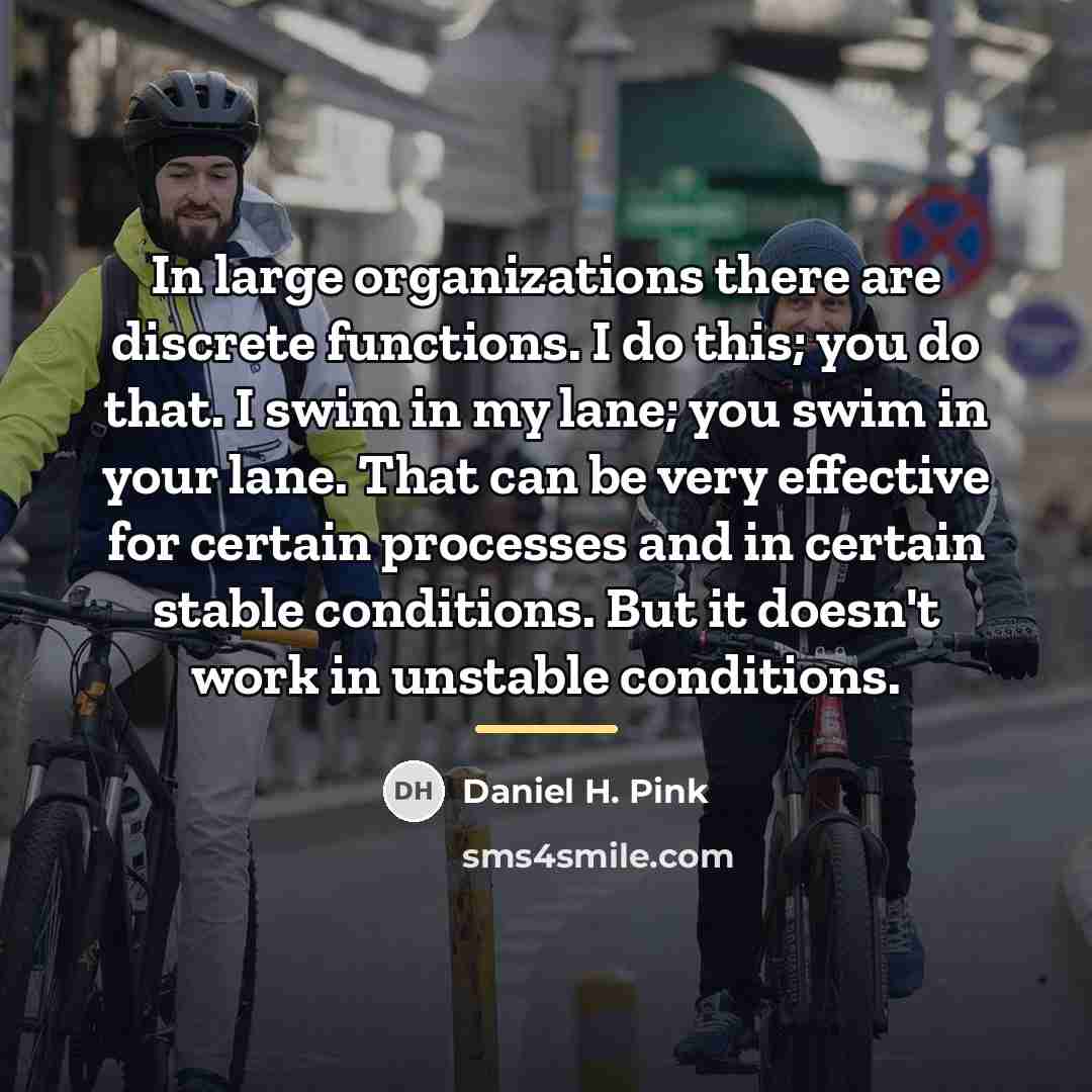 “In large organizations there are discrete functions. I do this;…” quote by Daniel H. Pink