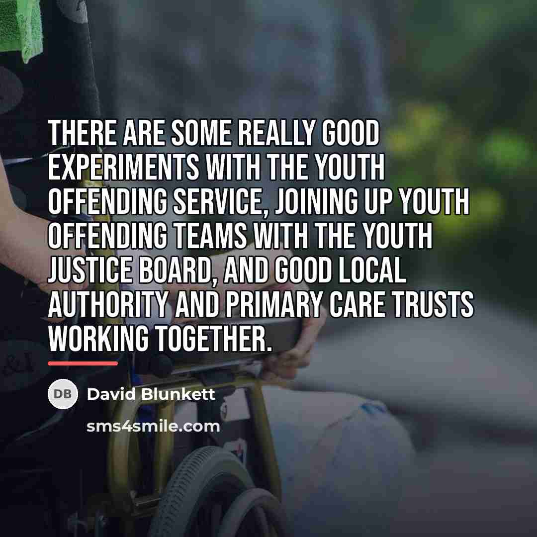 “There are some really good experiments with the youth offending…” quote by David Blunkett