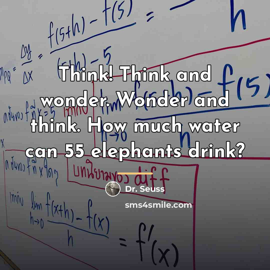 “Think! Think and wonder. Wonder and think. How much water…” quote by Dr. Seuss