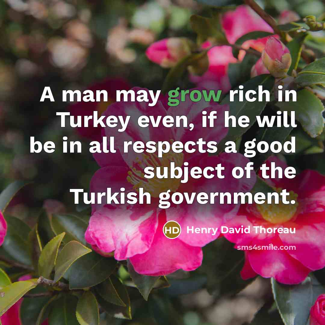 “A man may grow rich in Turkey even, if he…” quote by Henry David Thoreau