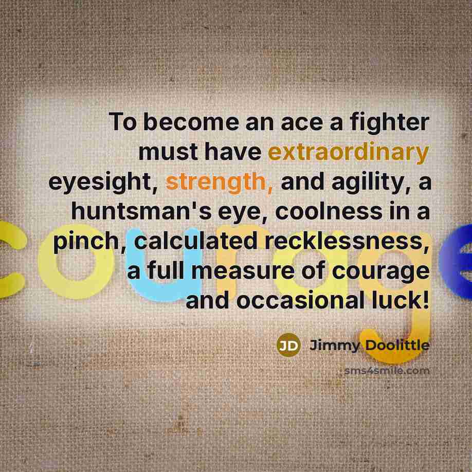 “To become an ace a fighter must have extraordinary eyesight,…” quote by Jimmy Doolittle
