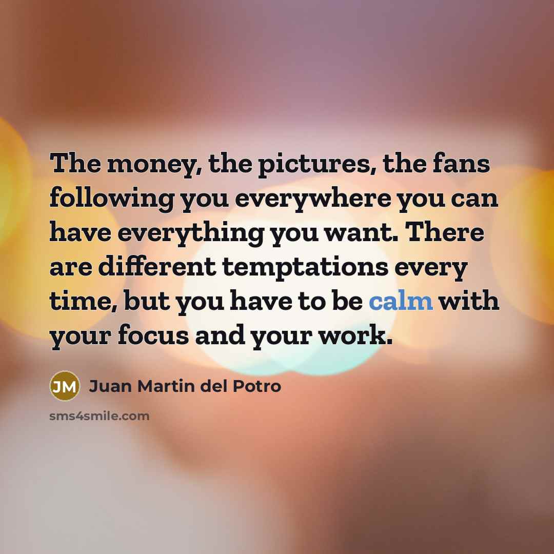 “The money, the pictures, the fans following you everywhere you…” quote by Juan Martin del Potro