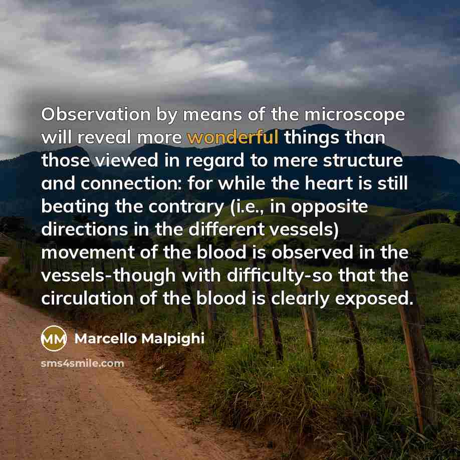 “Observation by means of the microscope will reveal more wonderful…” quote by Marcello Malpighi