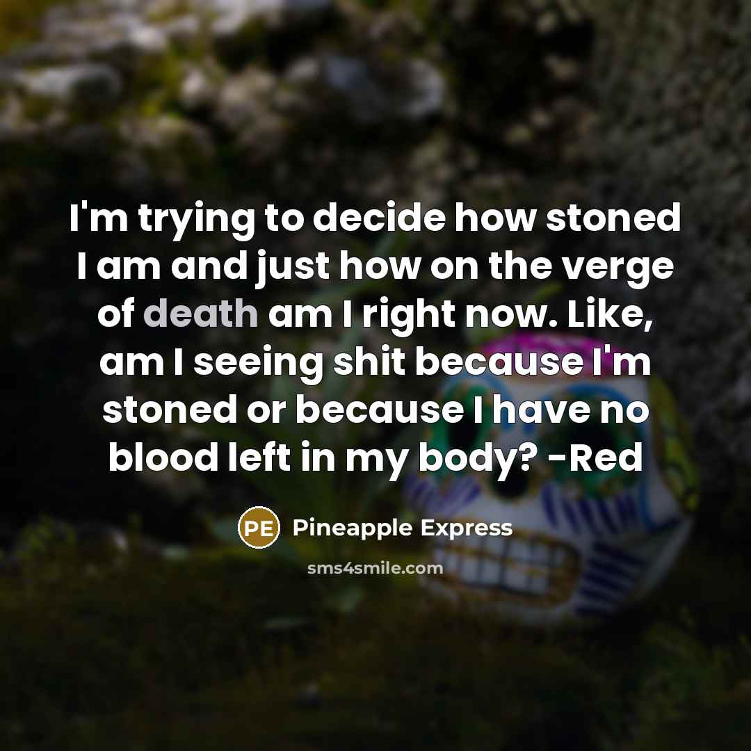 “I'm trying to decide how stoned I am and just…” quote by Pineapple Express
