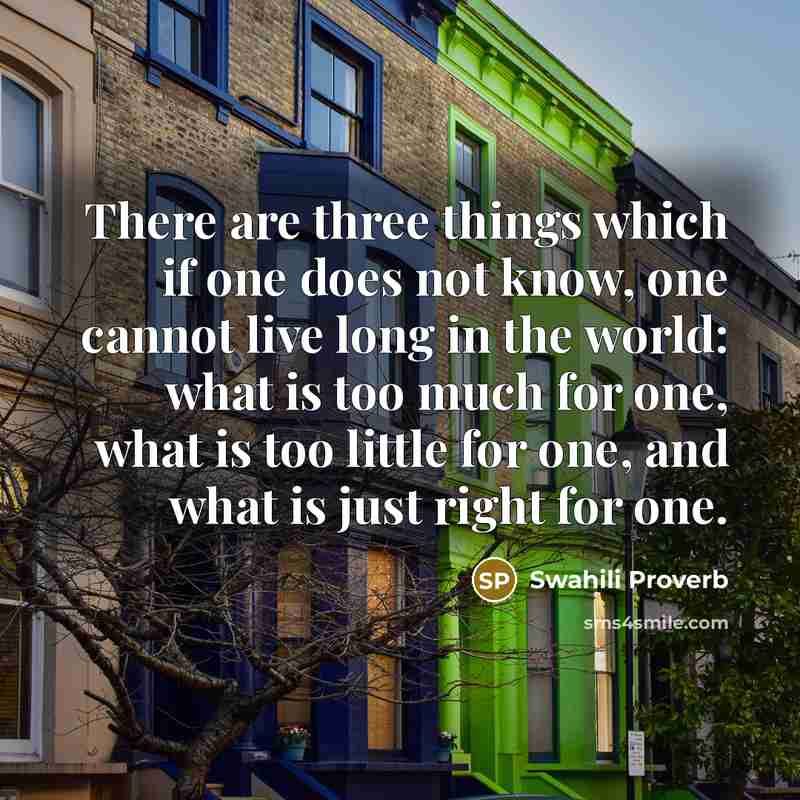 “There are three things which if one does not know, one cannot live long in the world: what is too much for one, what is too little for one, and what is just right for one.” quote by Swahili Proverb