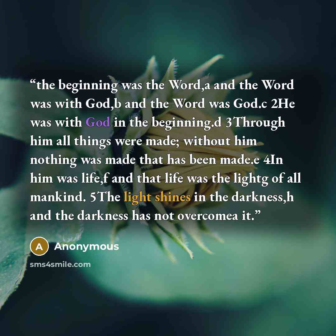 “the beginning was the Word,a and the Word was with God,b and the Word was God.c 2He was with God in the beginning.d 3Through him all things were made; without him nothing was made that has been made.e 4In him was life,f and that life was the lightg of all mankind. 5The light shines in the…” quote by Anonymous