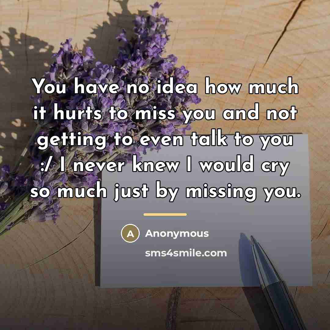 “You have no idea how much it hurts to miss…” quote by Anonymous