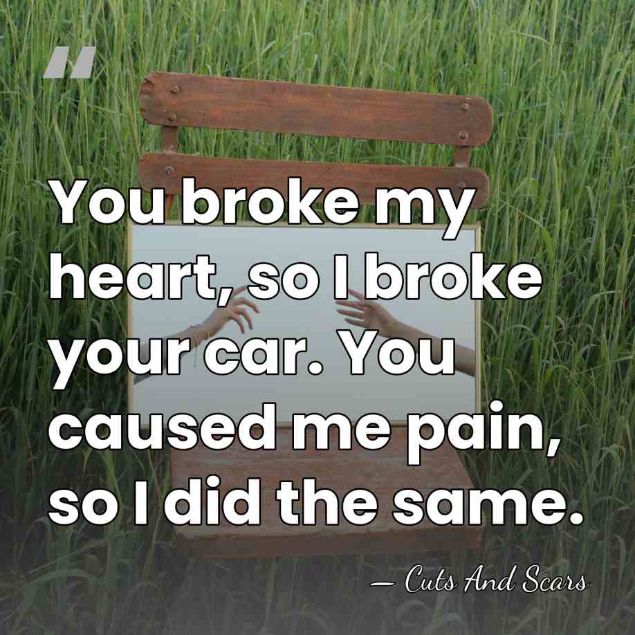 You broke my heart, so I broke your car. You caused me&hellip; - Cuts And Scars