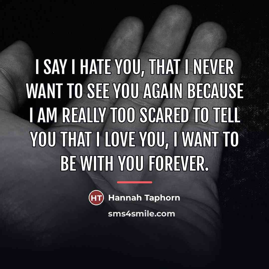 “I say I hate you, that I never want to…” quote by Hannah Taphorn