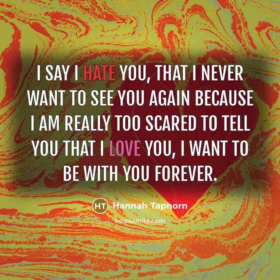 “I say I hate you, that I never want to see you again because I am really too scared to tell you that I love you, I want to be with you forever.” quote by Hannah Taphorn