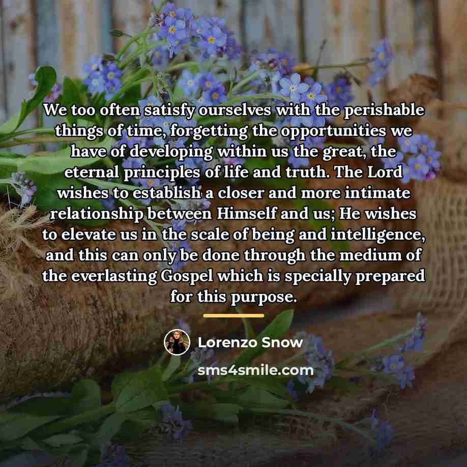 “We too often satisfy ourselves with the perishable things of…” quote by Lorenzo Snow