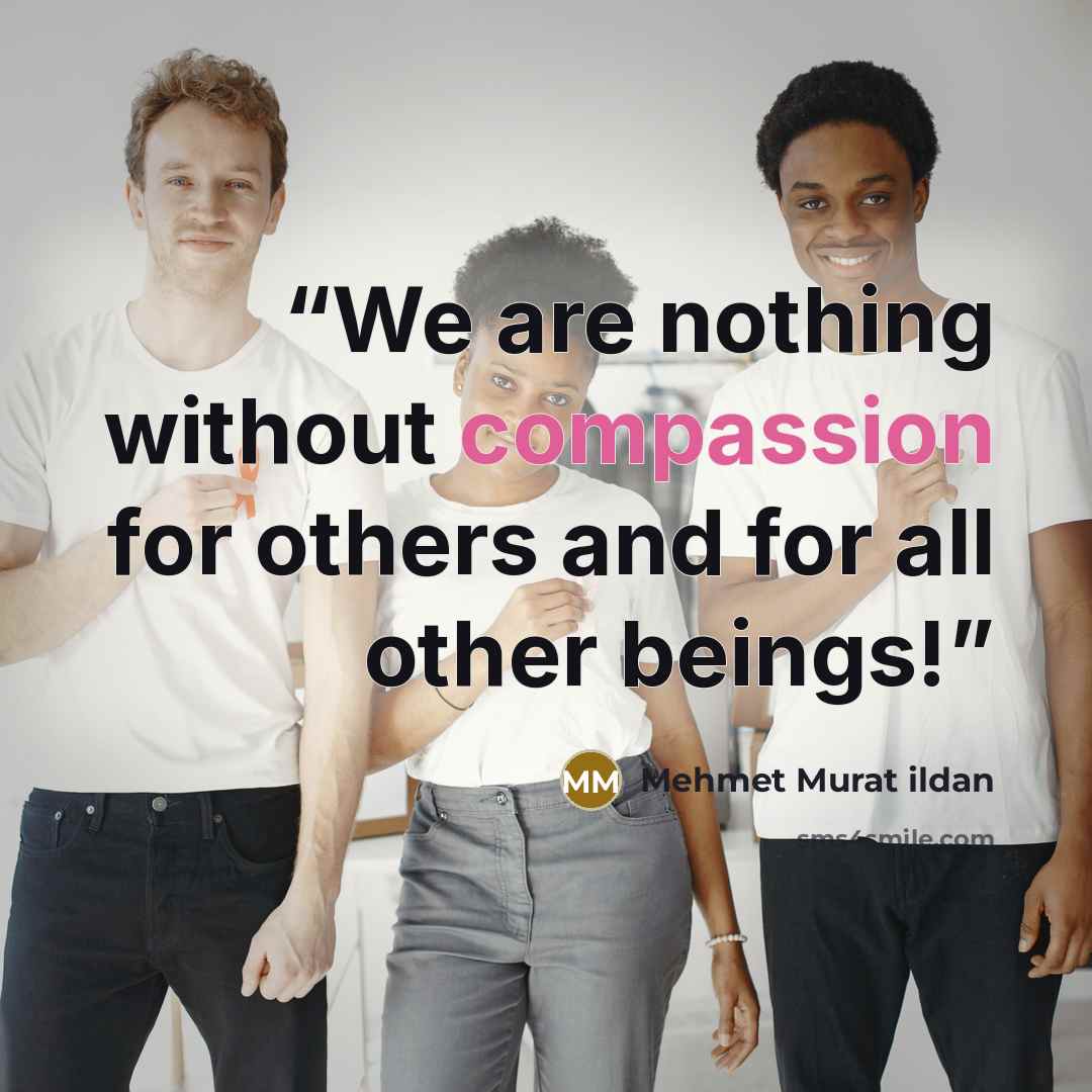 “We are nothing without compassion for others and for all other beings!” quote by Mehmet Murat ildan