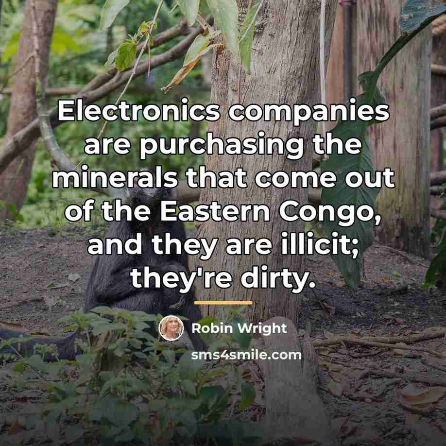 “Electronics companies are purchasing the minerals that come out of…” quote by Robin Wright